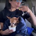 Aviokompanija Bark Air imala prvi luksuzni let za pse i njihove vlasnike (VIDEO)
