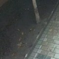 Policija traga za mladićem iz Novog Sada: Sumnja se da je povezan sa serijom obijanja raznih objekata