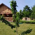 U ovoj vikendici naša voditeljka provodi dane u penziji: "Primam 53.000 dinara, platim račune i ostane nešto"