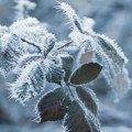 Novi Pazar pred talasom ekstremne hladnoće: Štab za vanredne situacije apeluje na oprez