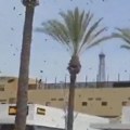 U Izraelu kao u horor filmu: Desetine hiljada pčela spustilo se na tržni centar (video)