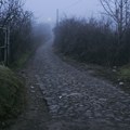 Vozač iz BiH snimio neverovatan trenutak: Zver trčala po putu, pa nestala u šumarku, mreže gore