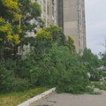Zelenilo Beograd na 21 mestu uklonilo drveće i granje popadalo tokom nevremena