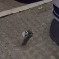Mali heroj se borio za svaki korak! Mladići zatekli nesvakidašnju scenu na ulici, pa pritekli odmah životinji upomoć: Ono što…