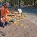 Садња цвећа и уређење градског зеленила