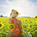 Upozorenje na izražen toplotni talas, upaljen crveni meteo-alarm u većem delu zemlje