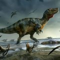 Desetogodišnja devojčica otkrila otiske stopala dinosaurusa na plaži u Velsu