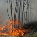 Požar u kanjonu Uvca ne jenjava, gori preko 100 hektara niskog rastinja