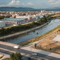 Neverovatna slika iz Niša! Čopor napuštenih pasa se skupio na minijaturnom prostoru iz tužnog razloga