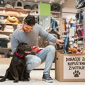 Premium Pet širi podršku životinjama bez doma: donacije sada i online, pokrenuta i platforma „Udomi“