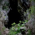 Ova tačka u Srbiji krije tajnu koja ledi krv u žilama: Po predanju, 7 devojaka je nestalo, a preživela je samo jedna - i to…