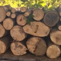 Poskupeo ogrev u Kragujevcu: Metar drva 65 evra