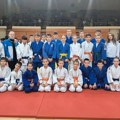 Džudo: Deset medalja za Spartak u Bečeju