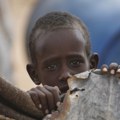Pakao na Rogu Afrike, rat za primat u državi koja ne postoji