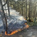 Visoke temperature i suša povećavaju opasnost od požara