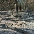 Požar više ne ugrožava Mozgovo, borba sa vatrenom stihijom trajala čitave noći