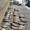 Trojica ribokradica iz Vranja uhvaćeni na Vlasinskom jezeru