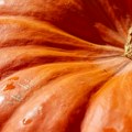 Beograđani "poludeli" za bundevom iz Srema i banata Porasla prodaja na Veletržnici