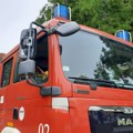 Požar u Novom Selu, gori nisko rastinje