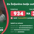 Pomozimo Željani da ozdravi: Hitno potreban novac za operaciju