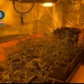 Гајили марихуану и терорисали комшије: Ухапшено петоро чланова породичног клана из Мадрида