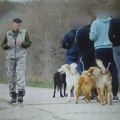 Kako se stvorila neraskidiva veza između štićenika Kazneno- popravnog doma i uličnih pasa