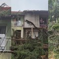 Bor od 30 metara pao na dve kuće u Leskovcu: „Dve decenije upozoravamo, niko nije reagovao!“ – VIDEO