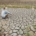 Pogubna suša u Evropi kao sadašnja dogodila se još 1540. godine