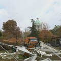 Docentkinja Biološkog fakulteta: Tek nakon ulaska službi biće poznato koliko je stradao Pionirski park