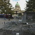Docentkinja Biološkog fakulteta: Tek nakon ulaska službi biće poznato koliko je stradao Pionirski park