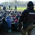 Migranti napali ekipu subotičke RTV Panon: Novi napad u šumi Makova sedmica