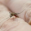 Zika virus i njegove tajne: Jednostavan enzim u potpunosti menja pravila igre