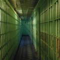 U Nemačkoj, pokušaj bekstva iz zatvora nije kažnjiv, ali budite pažljivi