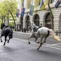 Detalji bega konja u Londonu Oteli se vojnicima Kraljevske konjičke grade i krvavi jurili ulicama grada (video)