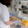 Raste broj zaraženih groznicom Zapadnog Nila: U srednjem Banatu potvrđen i četvrti slučaj