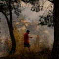 Evo kako izgleda BORBA SA POŽARIMA u Grčkoj, KAO U PAKLU (foto, video)