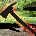 Horor na Košutnjaku: Čovek ubio psa sekirom pred brojnim svedocima: Telo bacio u kontejner, uhvaćen sav krvav