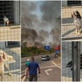 (Uznemirujuće) vatra ide ka prihvatilištu za pse: Preplašene životinje čekaju pomoć, volonteri trče, scene koje teraju suze na…