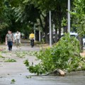 Snažno nevreme pogodilo Suboticu: Oborena stabla u Mišićevu i Bajmoku