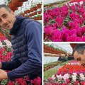 U cvetnom centru gazdinstva Duška Janića u Mokrinu: Najbolje procveta kad radi cela porodica