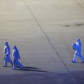 Epidomiolog: Hantavirus nije novi kovid 19, kod nas se sporadično pojavi mišja groznica