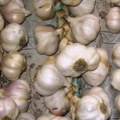 Kilogram belog luka i do 1.500 dinara Cene povrća na srpskim pijacama i dalje „ludačke“! Zelena salata, kupus i krompir…