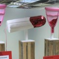 Velika Britanija i žene: Ponovo otvoren Muzej vagine izložbom o endometriozi