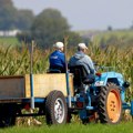 Od Nove godine trebalo bi da važe novi propisi u službenim kontrolama Ispektori bez najave kucaju na vrata gazdinstava i…