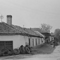 Priče iz Tekije: Reči utehe Stoleta Vulkanizera