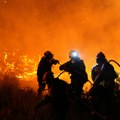 Požari u brdima kod Trebinja i dalje aktivni: Izgorele velike površine zemljišta