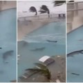 Lažni snimci ajkula na Jamajci: AI video zapisi preplavili društvene mreže