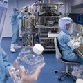 Novi slučaj smrtonosnog Bornavirusa u Nemačkoj: Većina zaraženih ne preživi infekciju