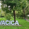 LSV Vojvođani: Osuda napada na kuću odbornice opozicije u Kovačici