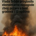 Vlada Srbije proglasila elementarne nepogode zbog požara u šest gradova i 13 opština